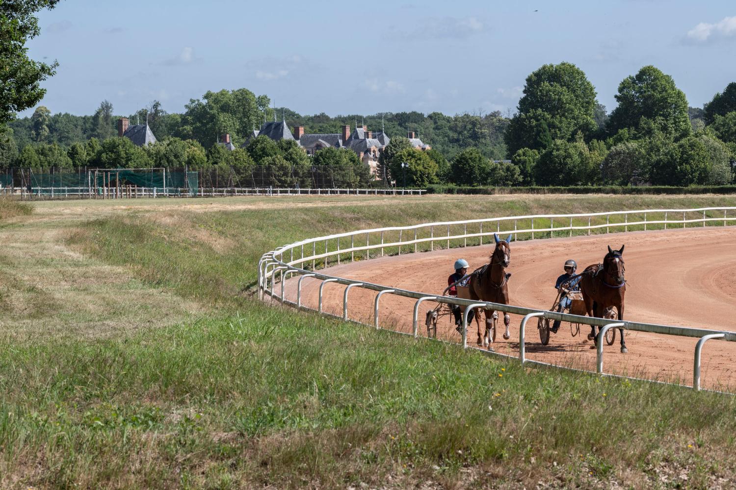Visite guidée du Centre d'entrainement des chevaux trotteurs - Domaine de  Grosbois - Sorties Groupes
