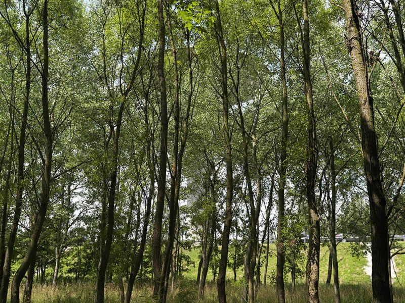 regard photographique sur les paysages de la Plaine de France.