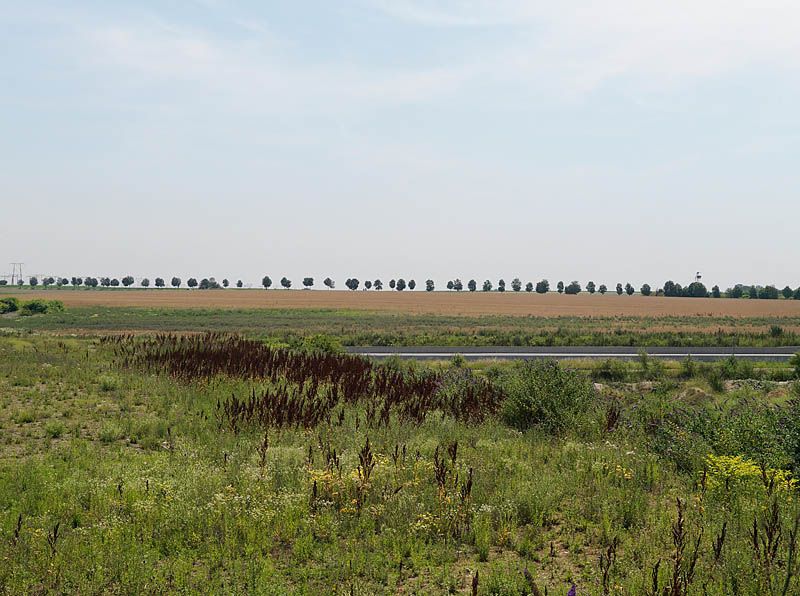 regard photographique sur les paysages de la Plaine de France.