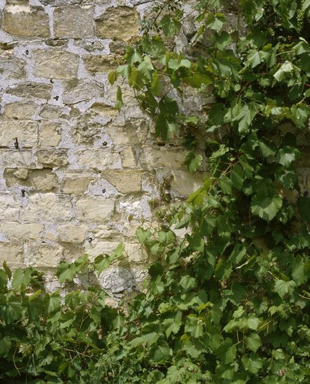 ferme, 14 rue de l'Oise