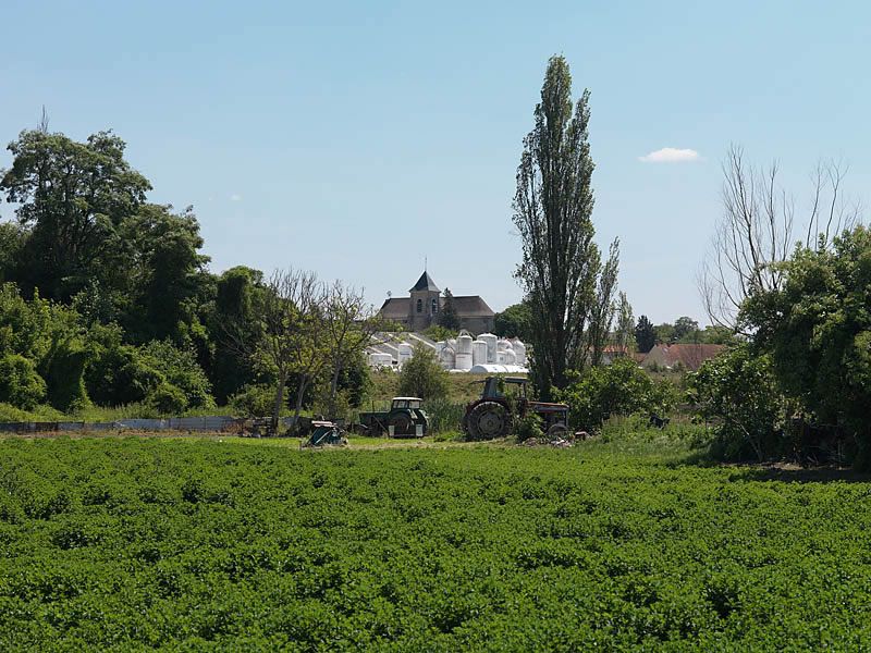 regard photographique sur les paysages de la Plaine de France.