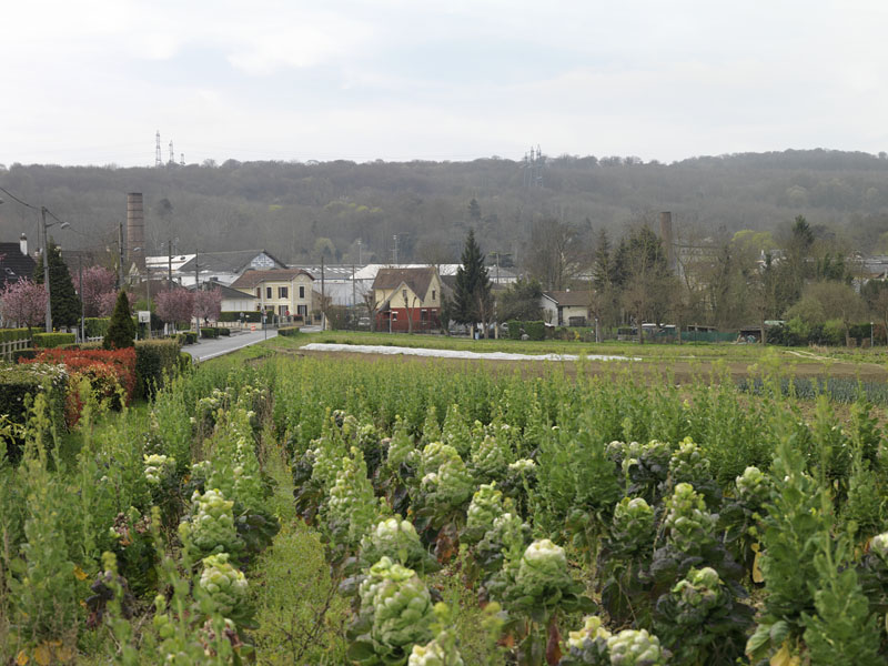 Regard photographique sur les paysages industriels du Val-d'Oise, de Survilliers à Persan