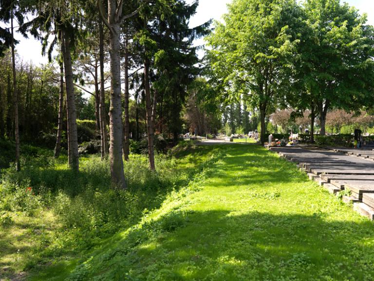 Cimetière intercommunal des Joncherolles