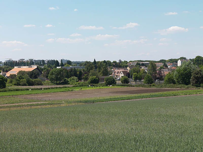 regard photographique sur les paysages de la Plaine de France.