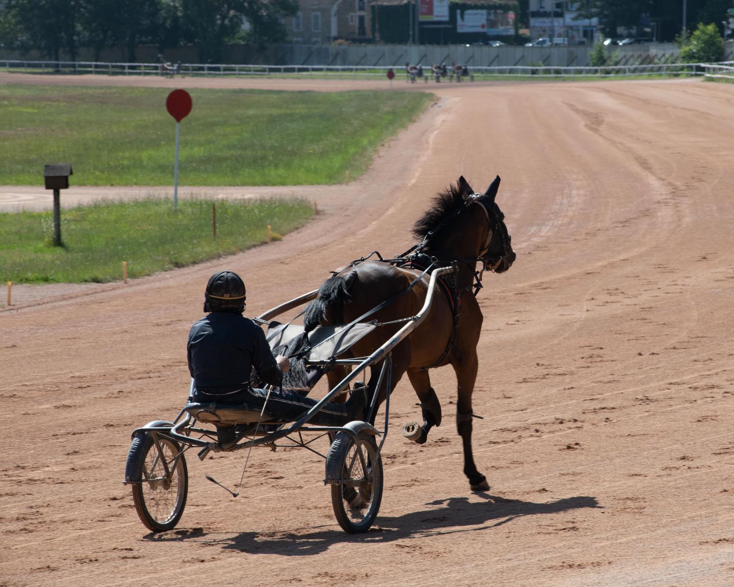 Centre d'entrainement des chevaux trotteurs de Grosbois