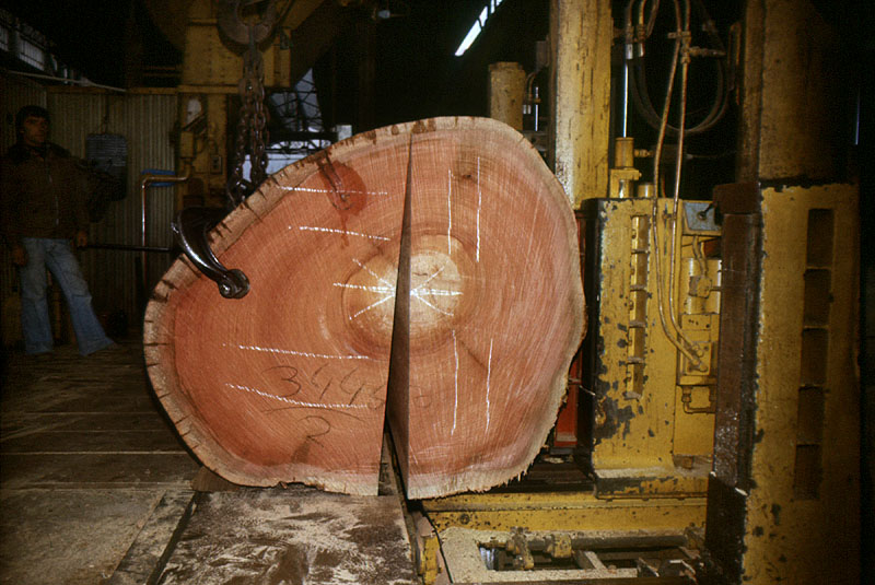 Scierie Cavillet, puis usine de bois de placage Société parisienne de bois tranché et déroulé, puis Société parisienne de tranchage et déroulage, puis société Maréchaux, puis entrepôt commercial (détruit après inventaire)