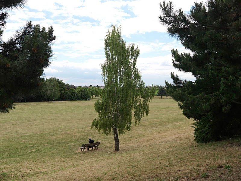 regard photographique sur les paysages de la Plaine de France.