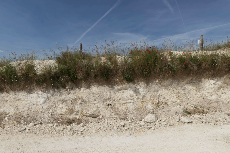 Écuelles - Carrière de Charmoy, puis carrière de calcaire industriel Piketty frères