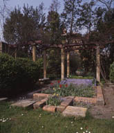 La pergola située au fond du jardin, précédée d'un parterre, vraisemblablement ancien bassin à entourage de brique.