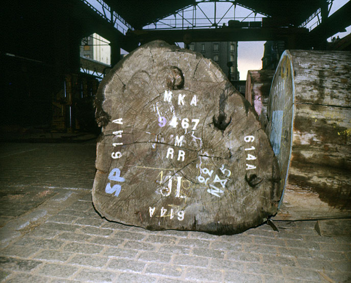 Scierie Cavillet, puis usine de bois de placage Société parisienne de bois tranché et déroulé, puis Société parisienne de tranchage et déroulage, puis société Maréchaux, puis entrepôt commercial (détruit après inventaire)