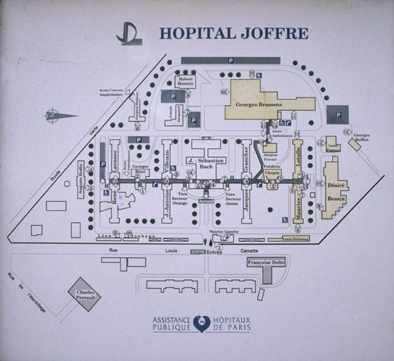 sanatorium de Champrosay, puis sanatorium Joffre, puis hôpital Joffre, actuellement hôpital Joffre-Dupuytren