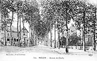 L'avenue de Chailly, vers 1920. Carte postale. (Musée municipal de Melun. inv. 983.2.659)