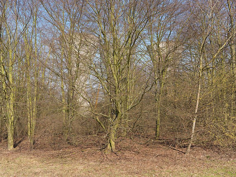 regard photographique sur les paysages de la Plaine de France.