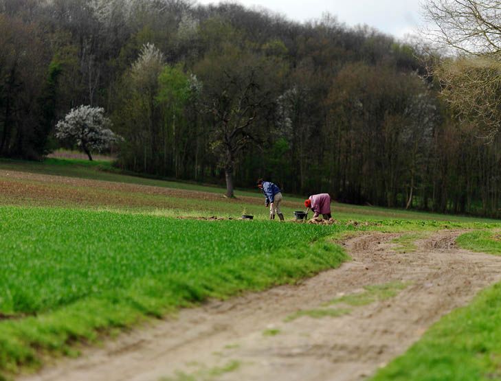 Regard photographique sur les paysages de Centre-Essonne.