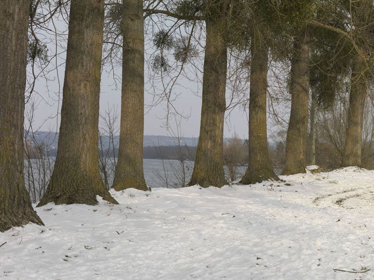 regard photographique sur le territoire de Seine-Aval