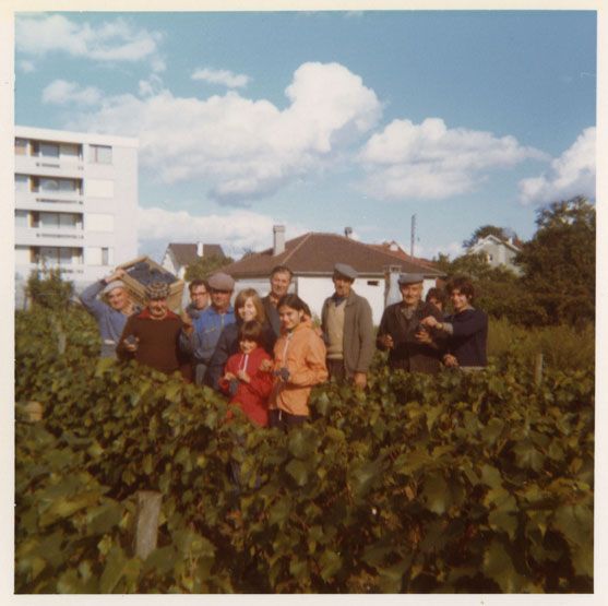 maison de vigneron, 10 rue de Triel