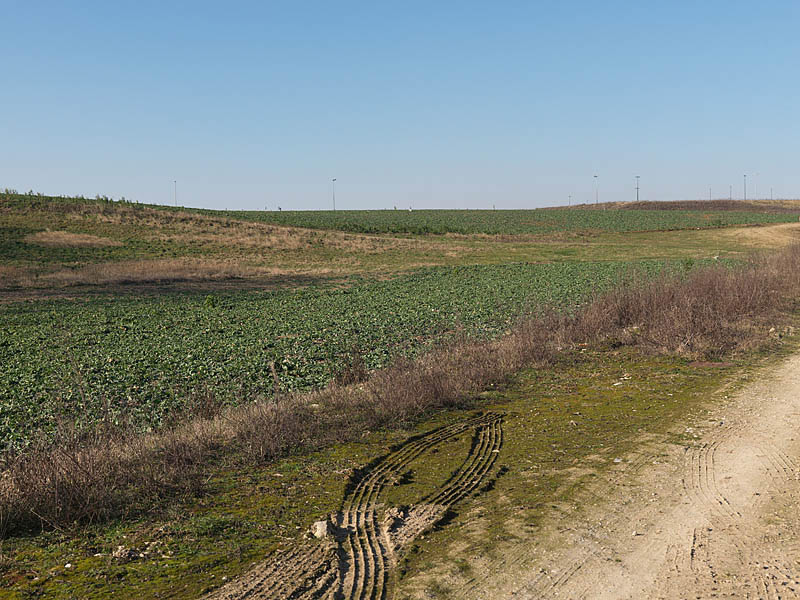 regard photographique sur les paysages de la Plaine de France.