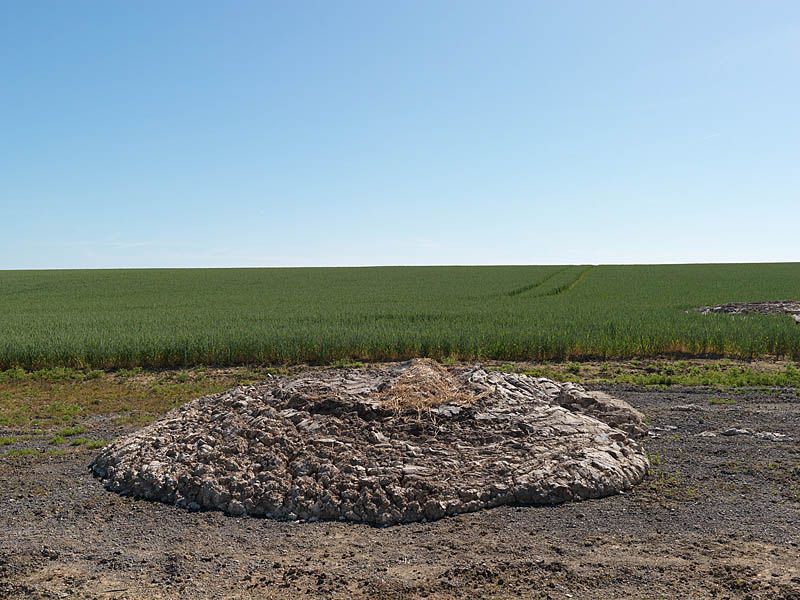 regard photographique sur les paysages de la Plaine de France.