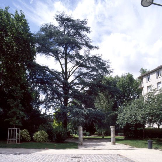 jardin botanique