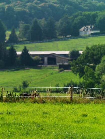 Regard photographique sur les paysages de Centre-Essonne.