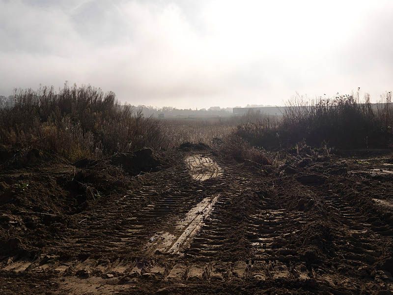 regard photographique sur les paysages de la Plaine de France.