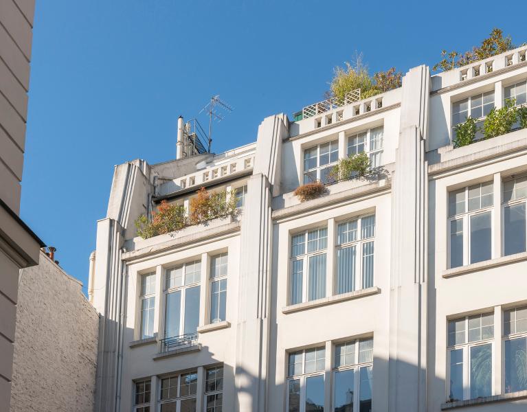 rue des Plantes