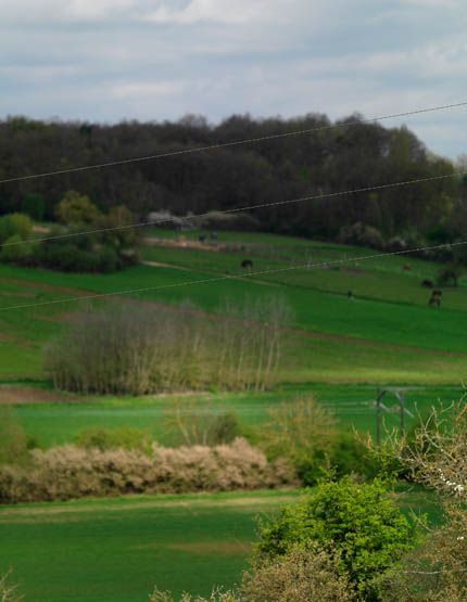 Regard photographique sur les paysages de Centre-Essonne.