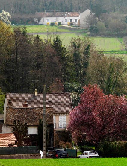 Regard photographique sur les paysages de Centre-Essonne.