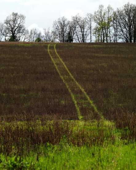 Regard photographique sur les paysages de Centre-Essonne.