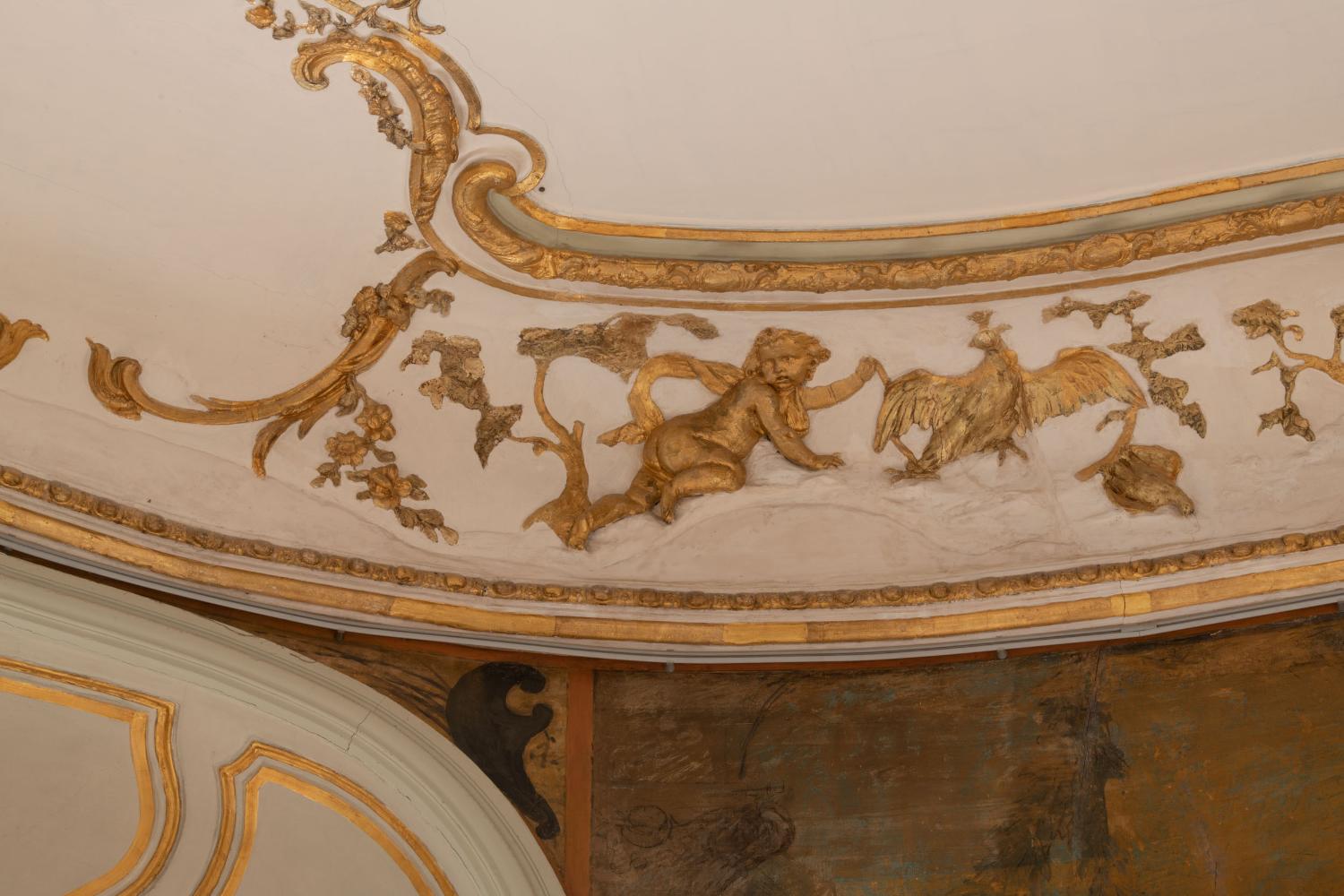 Ensemble décor du salon (corniche)