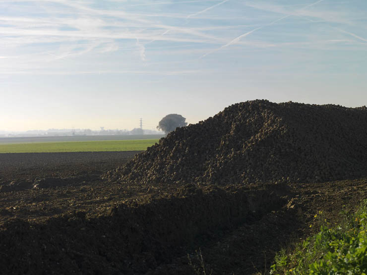 Regard photographique sur les paysages industriels du Val-d'Oise, de Survilliers à Persan