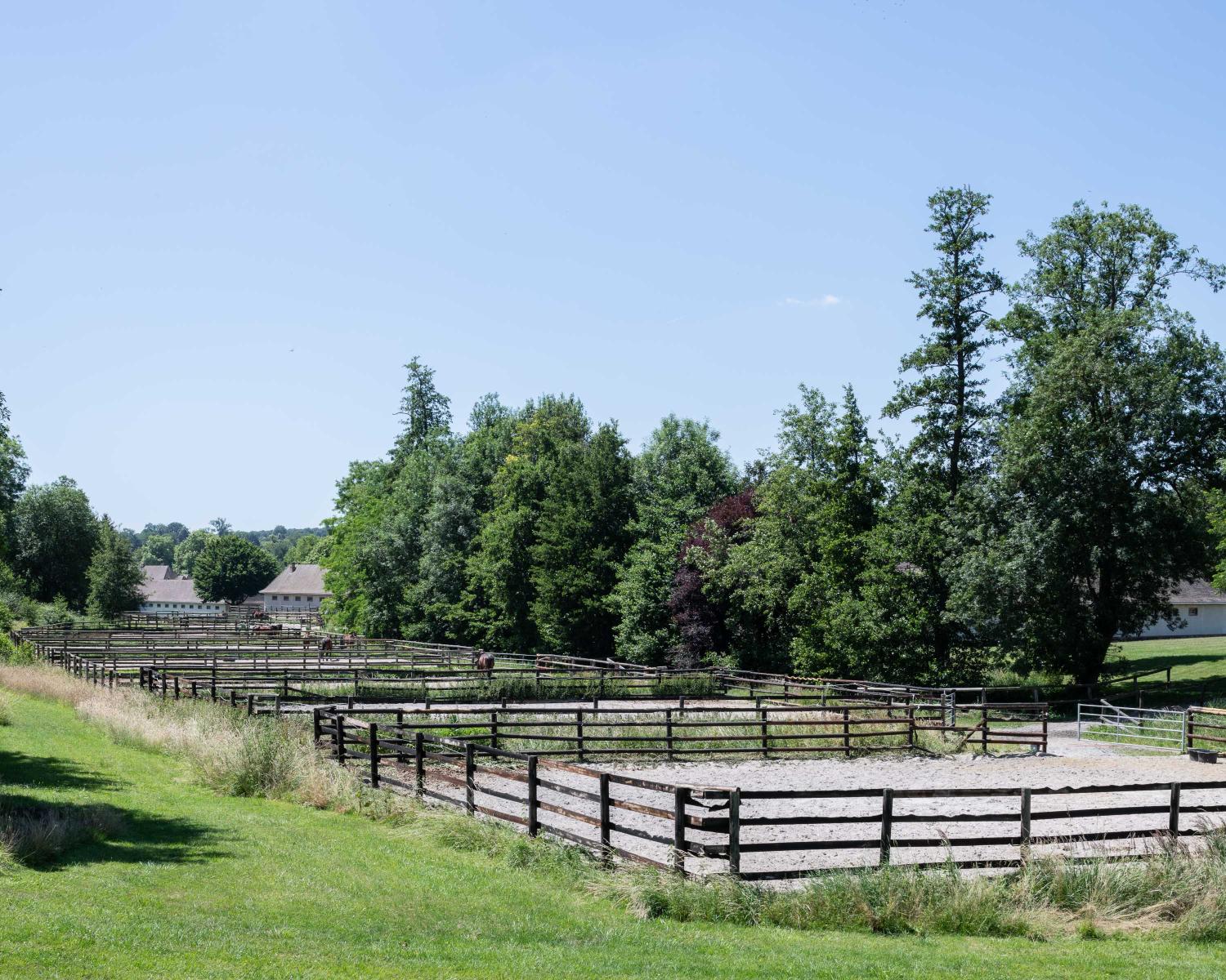 Centre d'entrainement des chevaux trotteurs de Grosbois