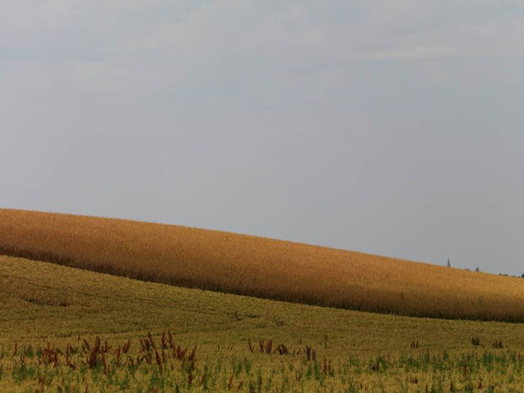 Regard photographique sur les paysages de Centre-Essonne.