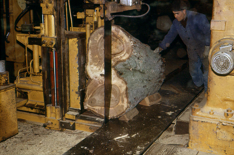 Scierie Cavillet, puis usine de bois de placage Société parisienne de bois tranché et déroulé, puis Société parisienne de tranchage et déroulage, puis société Maréchaux, puis entrepôt commercial (détruit après inventaire)