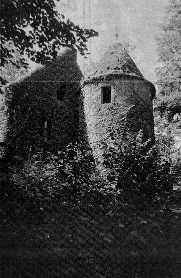 maison de notable, dite le Vieux Manoir (vestiges)