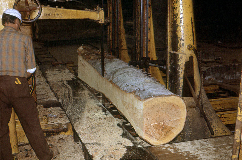 Scierie Cavillet, puis usine de bois de placage Société parisienne de bois tranché et déroulé, puis Société parisienne de tranchage et déroulage, puis société Maréchaux, puis entrepôt commercial (détruit après inventaire)