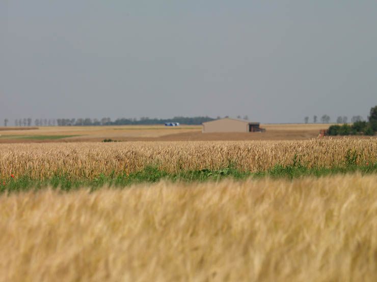 Regard photographique sur les paysages de Centre-Essonne.