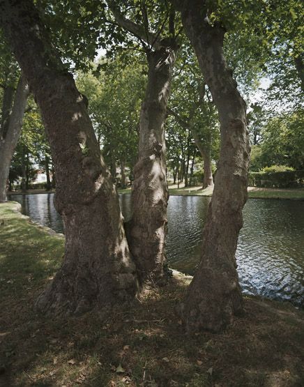 cité coopérative Paris-Jardins