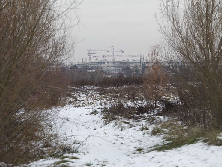 regard photographique sur le territoire de Seine-Aval