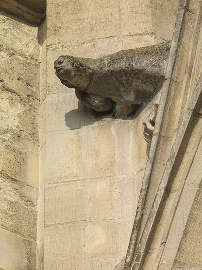 portail de droite de la façade occidentale : vie de la Vierge