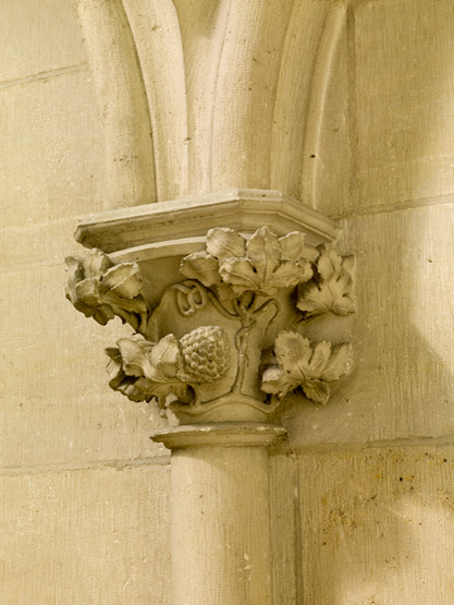 cathédrale Saint-Etienne