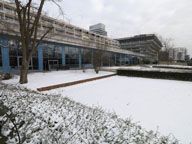 piscine-patinoire