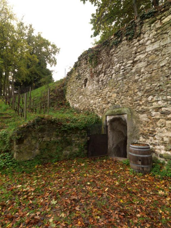 Couvent des Cordeliers, actuellement centre d'arts plastiques et visuels Abel-Lauvray