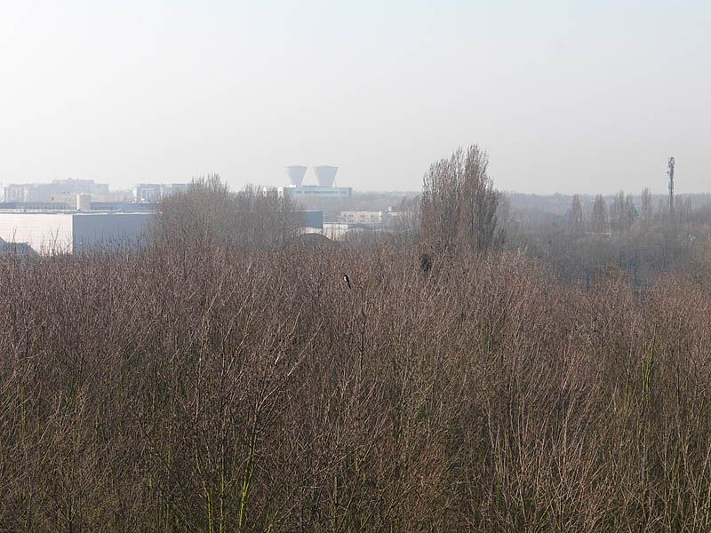 regard photographique sur les paysages de la Plaine de France.