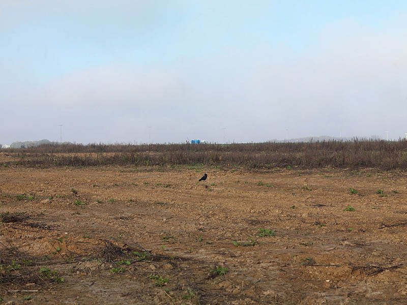 regard photographique sur les paysages de la Plaine de France.