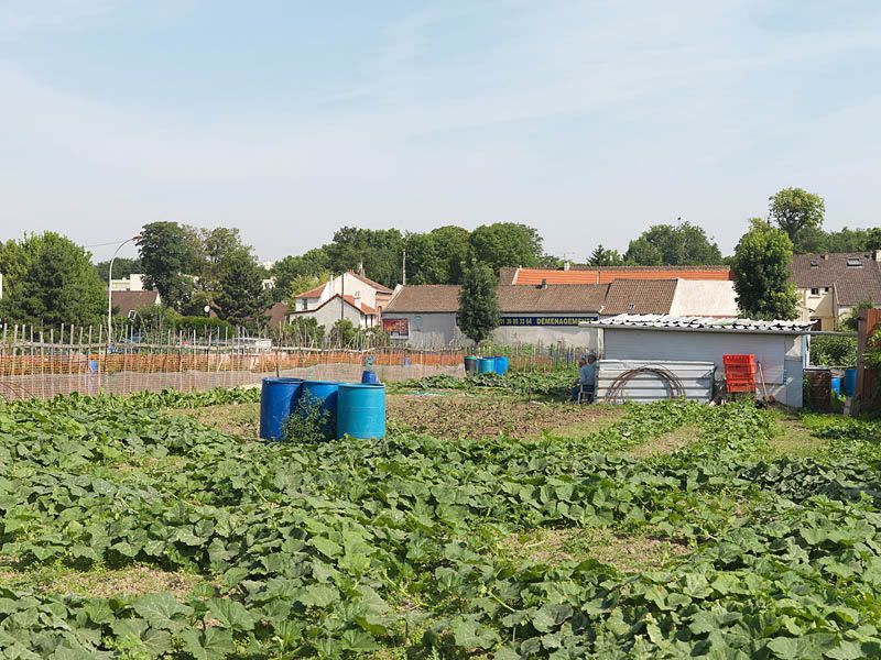 regard photographique sur les paysages de la Plaine de France.