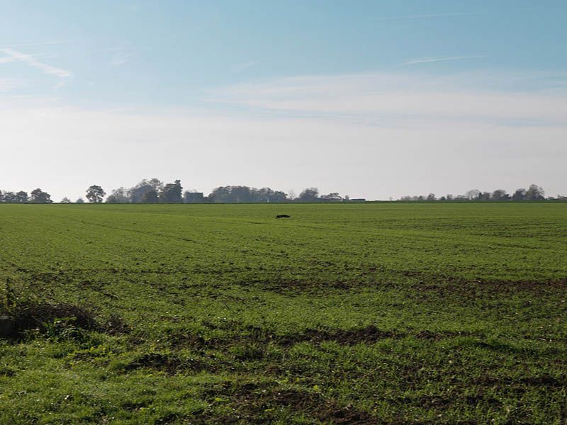 regard photographique sur les paysages de la Plaine de France.