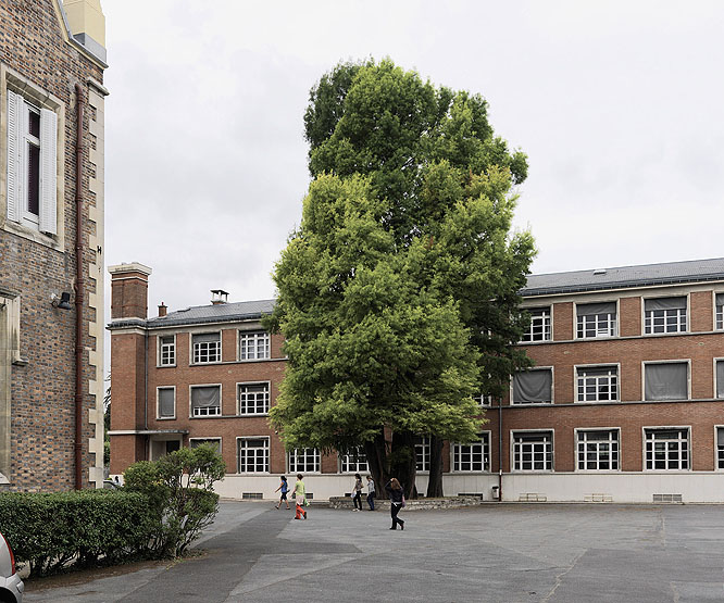 lycée Gustave-Monod