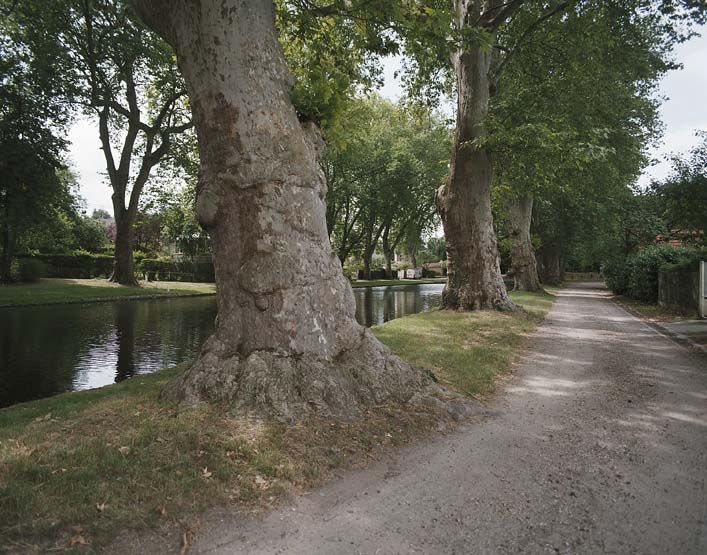 cité coopérative Paris-Jardins