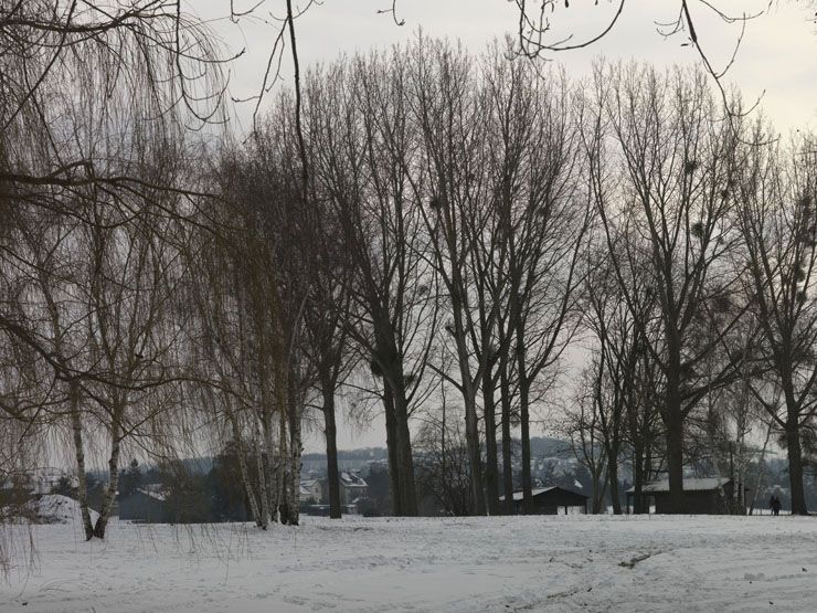 regard photographique sur le territoire de Seine-Aval